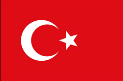 Türkçe